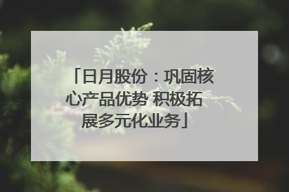 日月股份：巩固核心产品优势 积极拓展多元化业务