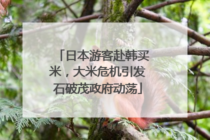 日本游客赴韩买米，大米危机引发石破茂政府动荡