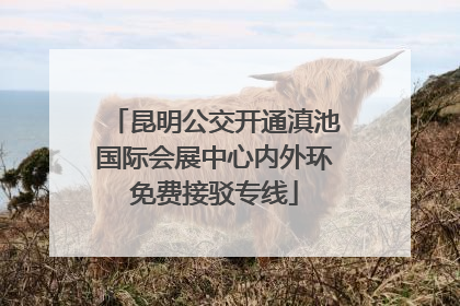 昆明公交开通滇池国际会展中心内外环免费接驳专线