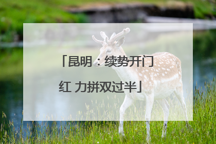 昆明：续势开门红 力拼双过半