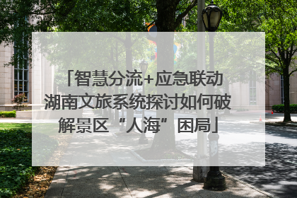 智慧分流+应急联动 湖南文旅系统探讨如何破解景区“人海”困局