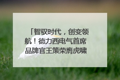 智驭时代，创变领航！德力西电气首席品牌官王策荣膺虎啸奖年度品牌人物