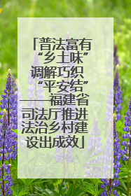 普法富有“乡土味” 调解巧织“平安结”——福建省司法厅推进法治乡村建设出成效