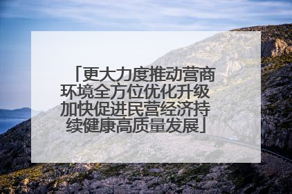 更大力度推动营商环境全方位优化升级加快促进民营经济持续健康高质量发展