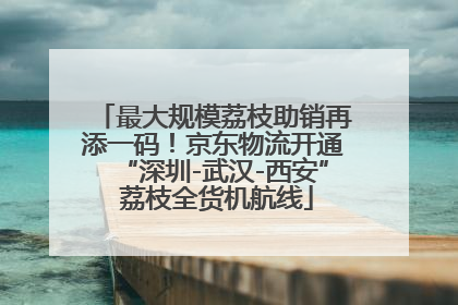 最大规模荔枝助销再添一码！京东物流开通“深圳-武汉-西安” 荔枝全货机航线