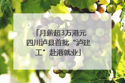 月薪超3万港元 四川泸县首批“泸建工”赴港就业