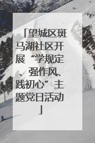 望城区斑马湖社区开展“学规定、强作风、践初心”主题党日活动