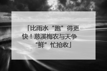 比雨水“跑”得更快！慈溪梅农与天争“鲜”忙抢收