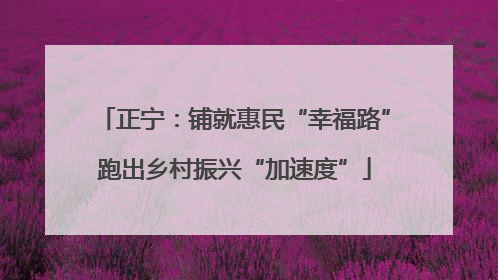 正宁：铺就惠民“幸福路”跑出乡村振兴“加速度”
