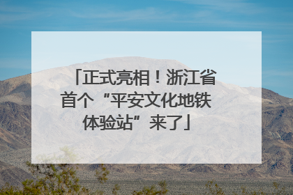 正式亮相！浙江省首个“平安文化地铁体验站”来了