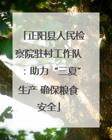正阳县人民检察院驻村工作队：助力“三夏”生产 确保粮食安全