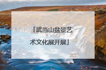 武当山盆景艺术文化展开展