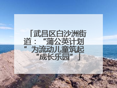 武昌区白沙洲街道：“蒲公英计划”为流动儿童筑起“成长乐园”