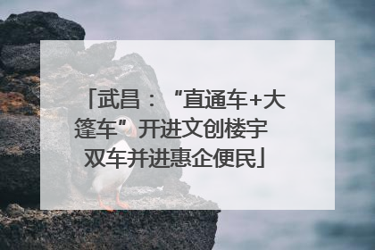 武昌：“直通车+大篷车”开进文创楼宇 双车并进惠企便民
