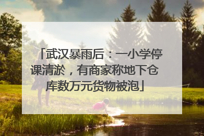 武汉暴雨后：一小学停课清淤，有商家称地下仓库数万元货物被泡