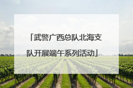 武警广西总队北海支队开展端午系列活动