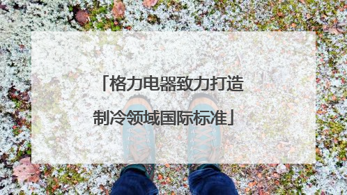 格力电器致力打造制冷领域国际标准