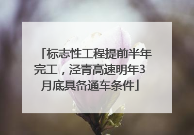 标志性工程提前半年完工，泾青高速明年3月底具备通车条件