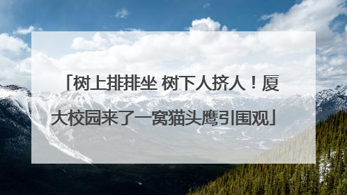 树上排排坐 树下人挤人！厦大校园来了一窝猫头鹰引围观