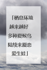栖息环境越来越好 多种夏候鸟陆续来厦恋爱生娃