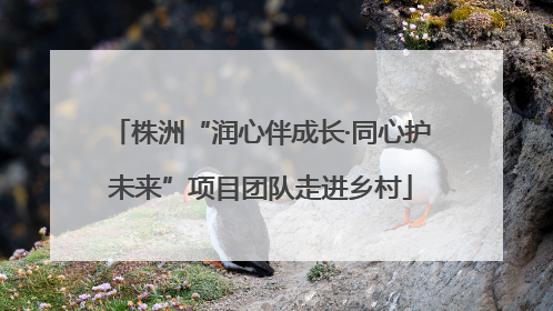 株洲“润心伴成长·同心护未来”项目团队走进乡村