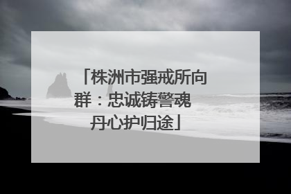 株洲市强戒所向群：忠诚铸警魂 丹心护归途