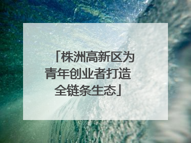株洲高新区为青年创业者打造全链条生态