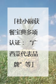 桂小厨获餐宝典多项认证:“广西菜代表品牌”等