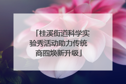 桂溪街道科学实验秀活动助力传统商圈焕新升级