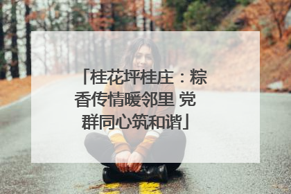 桂花坪桂庄：粽香传情暖邻里 党群同心筑和谐