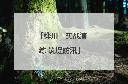 桦川：实战演练 筑堤防汛