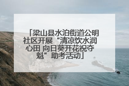 梁山县水泊街道公明社区开展“清凉饮水润心田 向日葵开花祝夺魁”助考活动