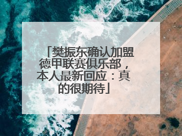 樊振东确认加盟德甲联赛俱乐部，本人最新回应：真的很期待