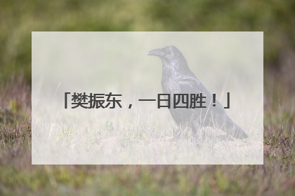 樊振东，一日四胜！