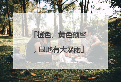 橙色、黄色预警，局地有大暴雨