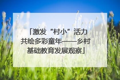 激发“村小”活力 共绘多彩童年——乡村基础教育发展观察