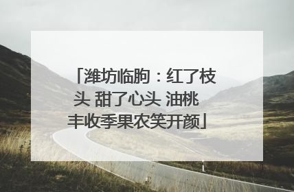潍坊临朐：红了枝头 甜了心头 油桃丰收季果农笑开颜