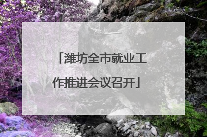潍坊全市就业工作推进会议召开