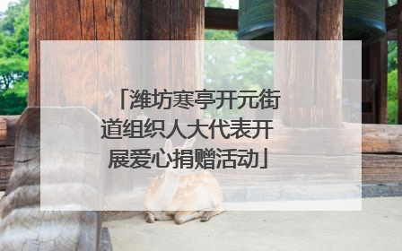 潍坊寒亭开元街道组织人大代表开展爱心捐赠活动