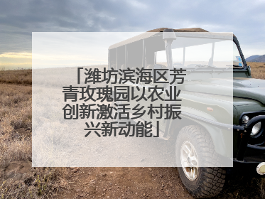 潍坊滨海区芳青玫瑰园以农业创新激活乡村振兴新动能