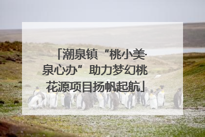 潮泉镇“桃小美·泉心办”助力梦幻桃花源项目扬帆起航