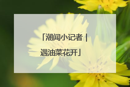 潮闻小记者｜遇油菜花开