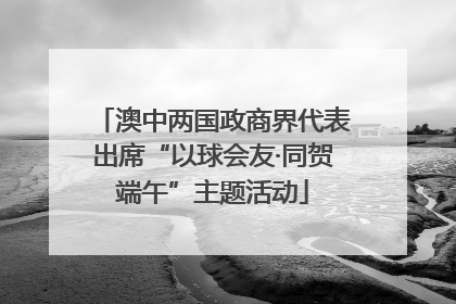 澳中两国政商界代表出席“以球会友·同贺端午”主题活动