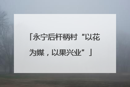 永宁后杆柄村“以花为媒，以果兴业”