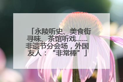 永陵听史、美食街寻味、茶馆听戏……非遗节分会场，外国友人：“非常棒”