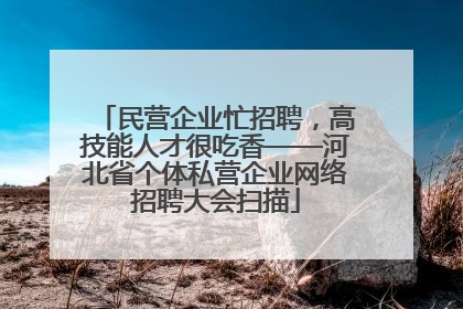 民营企业忙招聘，高技能人才很吃香——河北省个体私营企业网络招聘大会扫描
