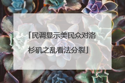 民调显示美民众对洛杉矶之乱看法分裂
