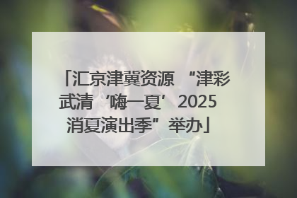 汇京津冀资源 “津彩武清‘嗨一夏’2025消夏演出季”举办
