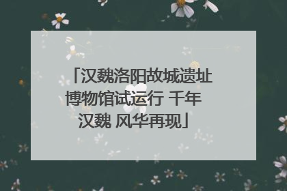 汉魏洛阳故城遗址博物馆试运行 千年汉魏 风华再现