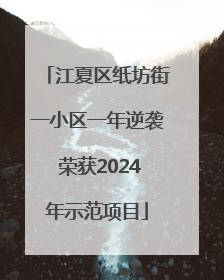 江夏区纸坊街一小区一年逆袭 荣获2024年示范项目